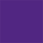 Purple Gloss SA24