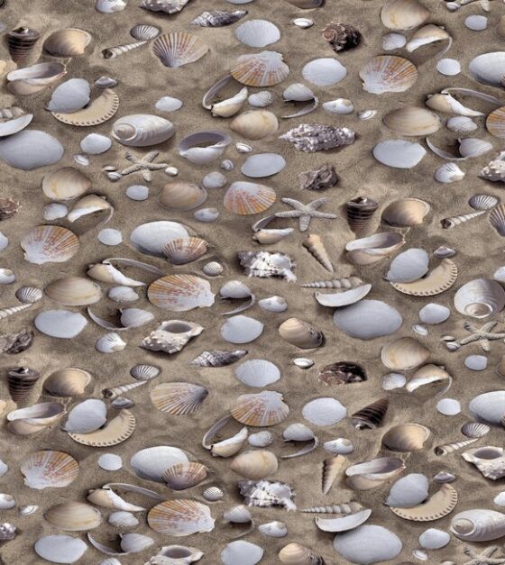 Sea Shells SA273